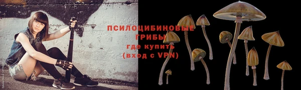 наркотики Каменка