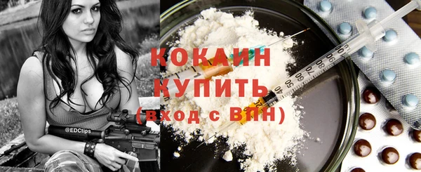 тгк Каменногорск