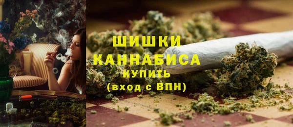 тгк Каменногорск