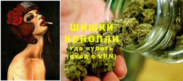 тгк Каменногорск