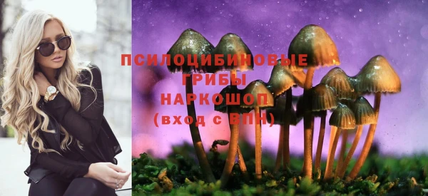наркотики Каменка