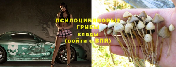 метадон Каменск-Шахтинский