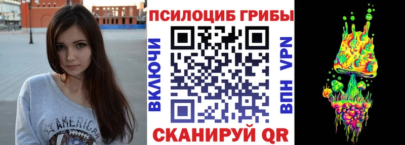 Галлюциногенные грибы GOLDEN TEACHER  Купить  Хабаровск 